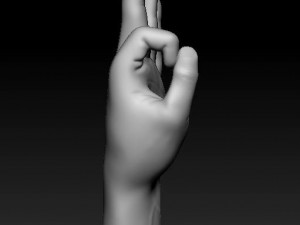 ASL numbers 0-10 3D 打印模型