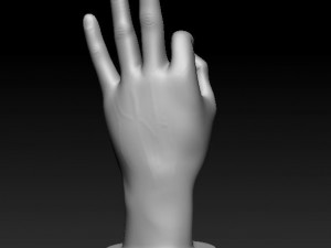 ASL numbers 0-10 3D 打印模型