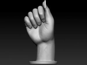 ASL numbers 0-10 3D Print Model