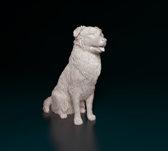 Australian Shepherd sitting 3Dプリントモデル .c4d .max .obj .3ds .fbx .stl .blend 