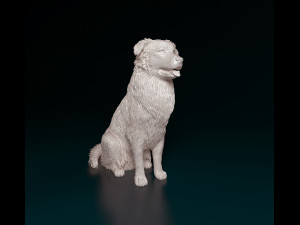 Australian Shepherd sitting Modelo de impresión 3D