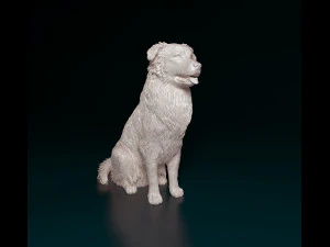 Gembala Australia sedang duduk Model Cetak 3D