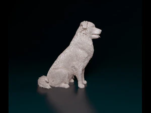 Australian Shepherd sitting 3D Print Model