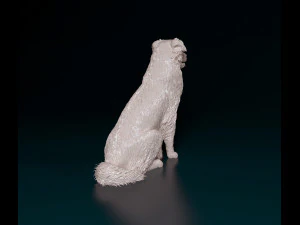Australian Shepherd sitting 3D Print Model