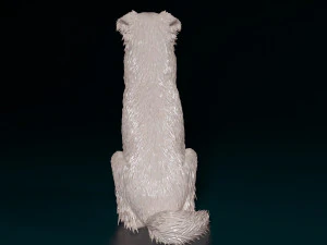 Australian Shepherd sitting 3D Print Model