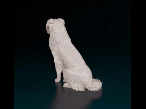 Australian Shepherd sitting 3D Print Model
