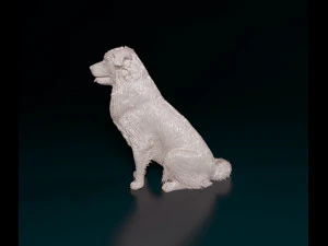 Australian Shepherd sitting 3D Print Model