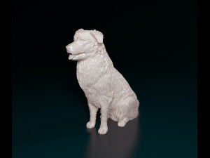 Australian Shepherd sitting 3Dプリントモデル