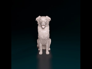 Australian Shepherd sitting 3Dプリントモデル