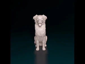 Australian Shepherd sitting 3D Print Model