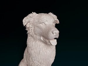 Australian Shepherd sitting 3Dプリントモデル