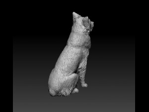 Australian Shepherd sitting 3Dプリントモデル