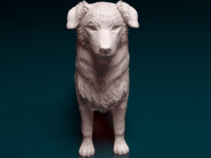 Australian shepherd dog Modèles 3D en vedette