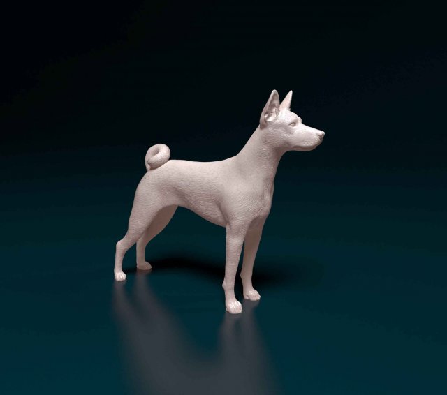 Basenji Model Cetak 3D .c4d .max .obj .3ds .fbx .stl .blend 