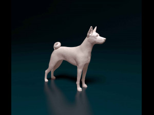 Basenji 3D 打印模型