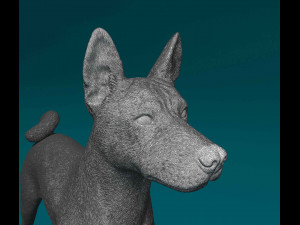 Basenji Model Cetak 3D