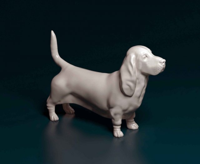 Basset Hound dog Modello di stampa 3D .c4d .max .obj .3ds .fbx .stl .blend 