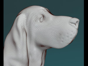 Basset Hound dog Modello di stampa 3D