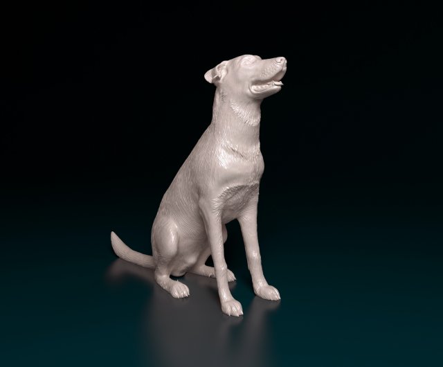 Bauceron dog Model Cetak 3D .c4d .max .obj .3ds .fbx .stl .blend 