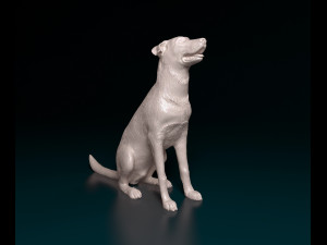 Bauceron dog Modelo de impresión 3D