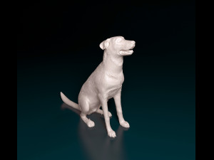 Bauceron dog Model Cetak 3D
