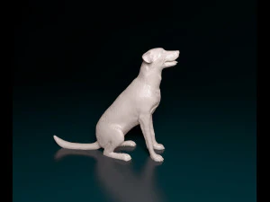 Bauceron dog 3D Print Model