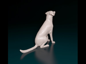 Bauceron dog Model Cetak 3D