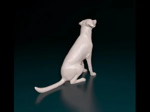 Bauceron dog 3D Print Model