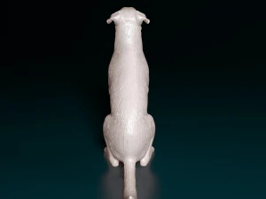 Bauceron dog 3D Print Model