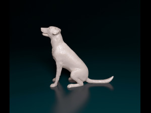 Bauceron dog Model Cetak 3D