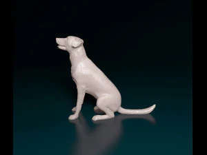 Bauceron dog 3D Print Model