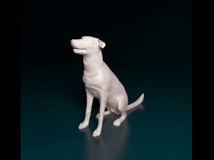 Bauceron dog Model Cetak 3D