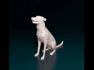 Bauceron dog 3D Print Model