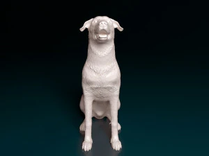 Bauceron dog 3D Print Model