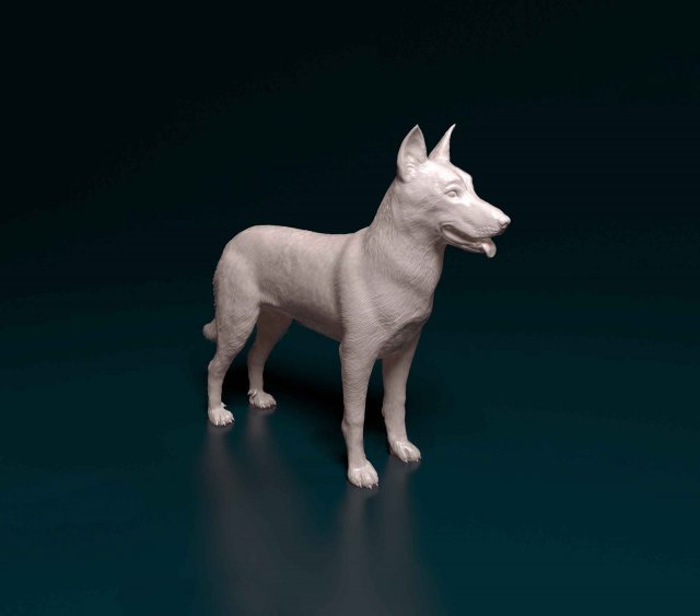 Bauceron 3D Baskı Modeli .c4d .max .obj .3ds .fbx .stl .blend 