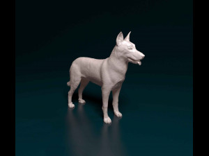 Bauceron 3D Print Model