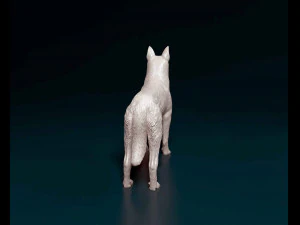 Bauceron 3D Print Model