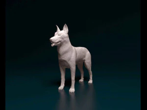Bauceron 3D Print Model