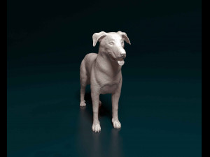 Bauceron 3D Baskı Modeli
