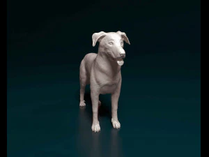 Bauceron 3D Print Model