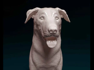 Bauceron 3D Print Model