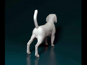 Beagle Modelo de Impressão 3D