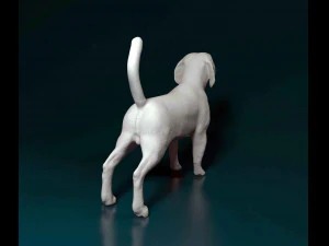 Beagle 3D Print Model