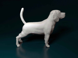 Beagle Modelo de Impressão 3D