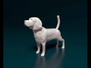 Beagle 3D Print Model