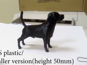 Beagle Modelo de Impressão 3D