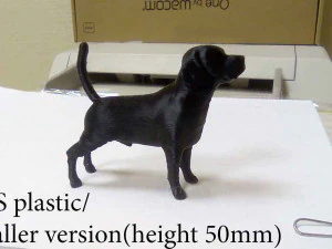 Beagle 3D Print Model