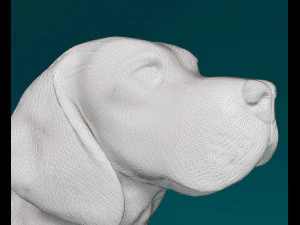 Beagle 3D Print Model