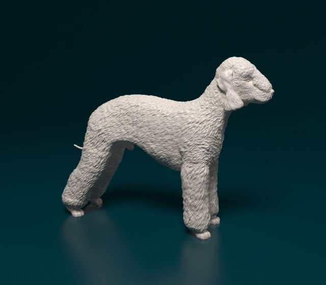 Bedlington 3D Print Model .c4d .max .obj .3ds .fbx .stl .blend 