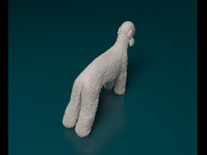 Bedlington 3D Print Model